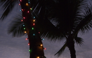Christmas light installation Solana Beach
