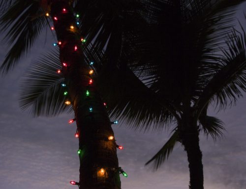 Professional Christmas Light Hangers Solana Beach