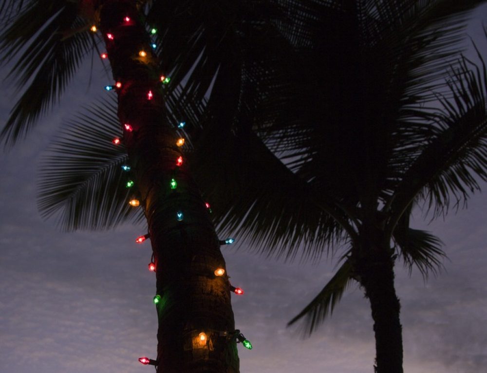 Christmas Light Installers Encinitas DTek Christmas Creations