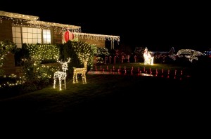 Christmas Light Hangers Poway