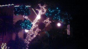 Christmas Light Installation San Diego